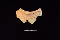 藏品(陶罐)的圖片